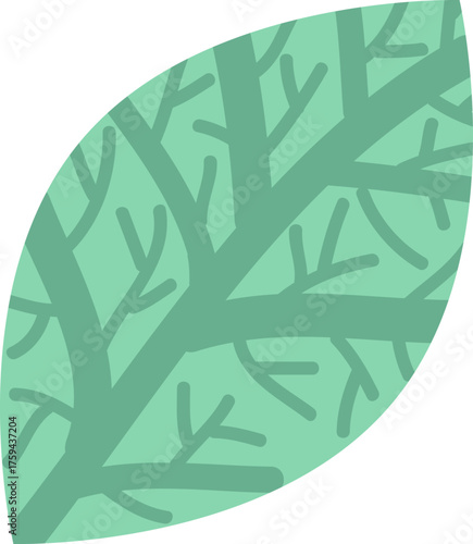 나뭇잎 잎맥 그물맥 식물