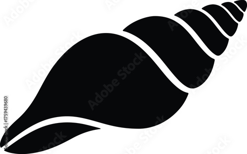 Vector Conch shell spiral seashell black and white silhouette illustration
