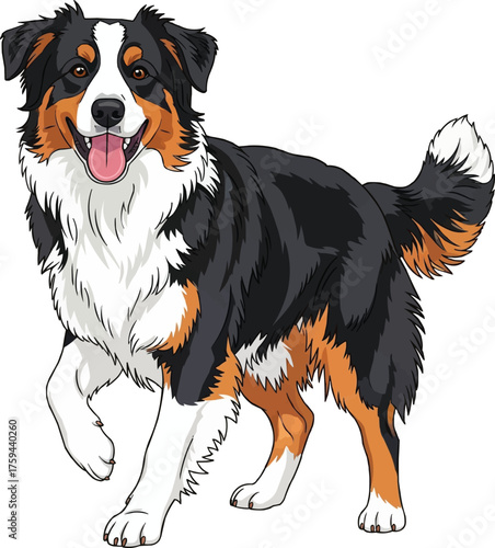 English Shepherd dog standing happy playful vector illustration