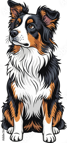 English Shepherd dog sitting looking up curious vector illustration