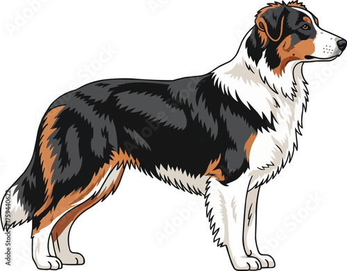 English Shepherd dog standing side profile vector illustration