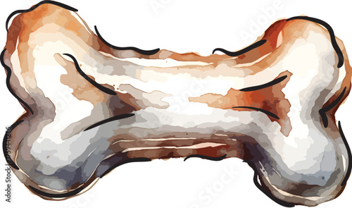 dog bone vector illustration