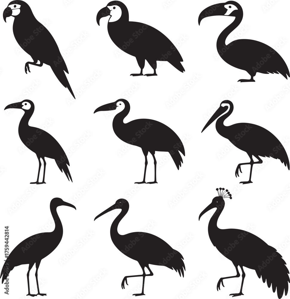 Obraz premium Collection of nine black bird silhouettes on white background parrot silhouette toucan silhouette