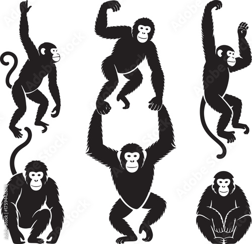 Five Black Silhouette Monkeys in Various Poses on White Background primate