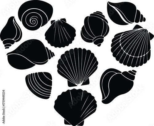 Vector Seashells assortment in heart shape black and white silhouette illustration