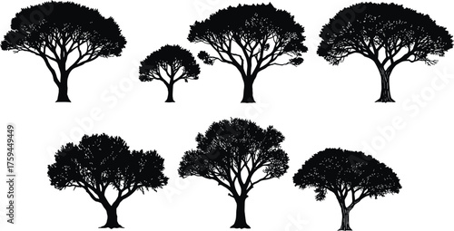 Tree silhouette collection, botanical vector illustration, black tree shapes, nature design elements, forest canopy graphics, foliage texture icons