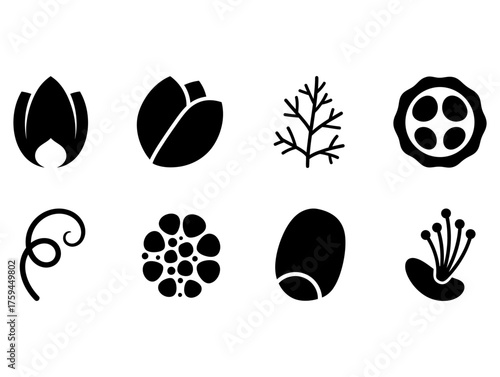 Set of minimalist botanical icons showing plant anatomy, including flower parts, seeds, and leaves