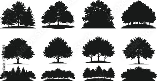 Tree silhouette collection, forest grouping, black vector trees, botanical illustration, nature design, foliage density, seasonal concept, landscape art, minimal background