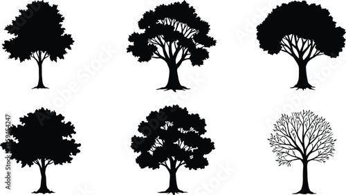 Tree silhouette set, botanical vector illustration, black tree shapes, canopy and branch designs, nature artwork, forest design elements