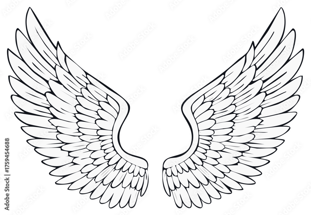 Obraz premium Vector illustration of angel or bird wings with feathers, line art design element