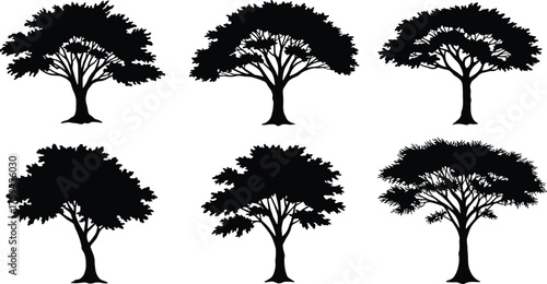 Tree silhouette set, botanical vector illustration, black tree shapes, nature design elements, forest canopy graphics, foliage texture icons