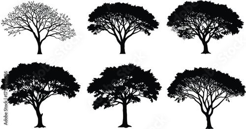 Tree silhouette set, botanical vector illustration, leafless and leafy tree shapes, nature design elements, forest canopy graphics, foliage icons