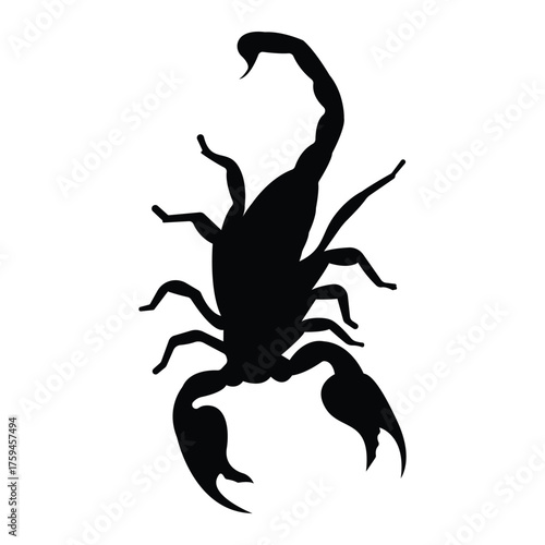 Black scorpion silhouette vector illustration on transparent background, ideal for tattoo, logo or wildlife design.