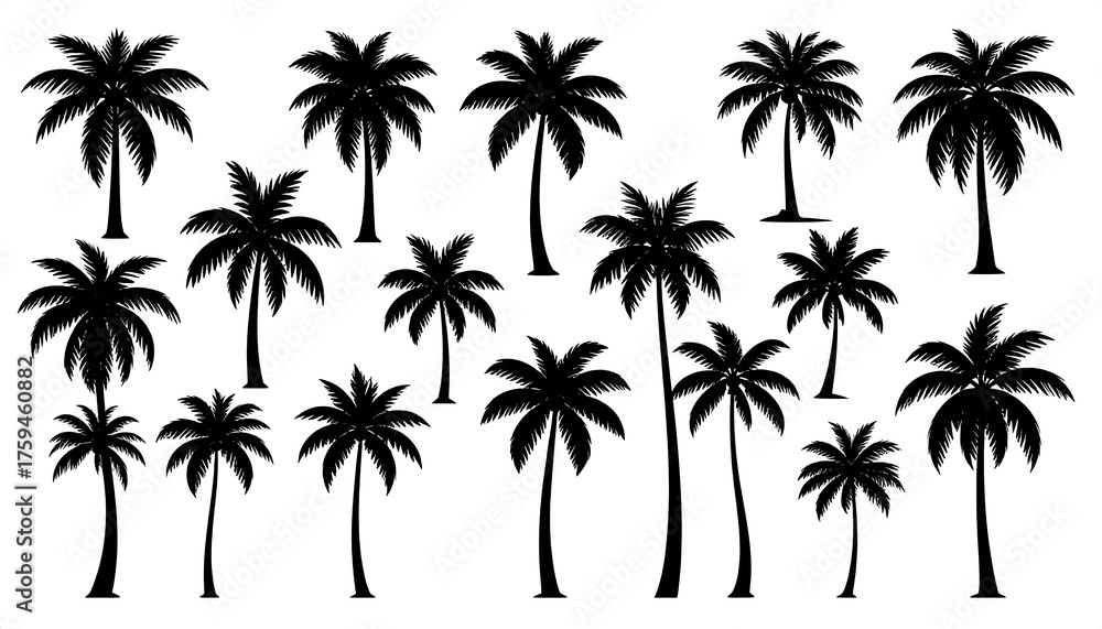 Fototapeta premium Array of various tropical tree silhouettes, black on white