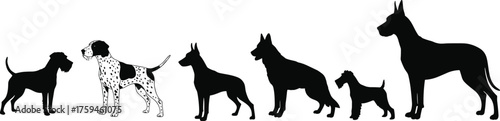 Different dog breeds standing in a row, black silhouette animal collection, pet diversity concept, domestic animal artwork, cad drawing flat vector illustration
