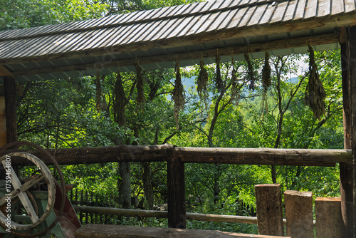 Foto Bundles of dried medicinal herbs hanging under a rustic wooden shelter in a coun