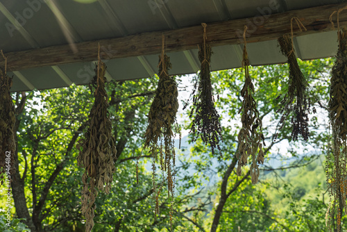Quadro su tela Close up of dried medicinal herbs and plants hanging in bundles under a rustic w