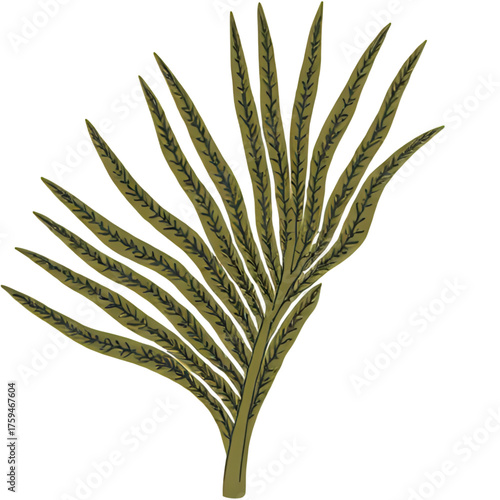 Vector of a single Raphis Palm frond with segments composed of intricate Moroccan tile patterns 