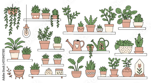 Indoor Gardening and Potted Plants Hand-Drawn Doodle Collection