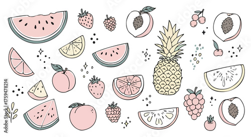 Charming Pastel Fruit Slices Hand-Drawn Doodle Vector Collection