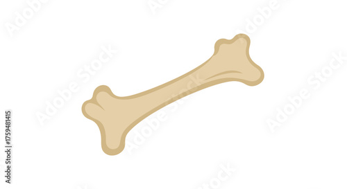 Cartoon depiction of a bone specimen in light brown color against white backdrop