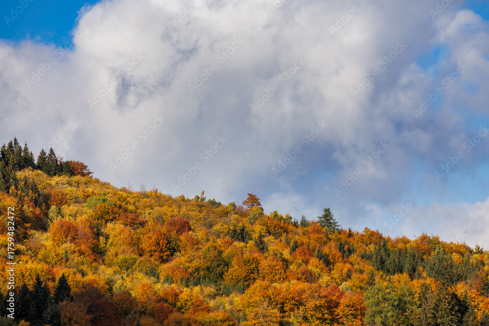 Fototapeta premium Autumn forest on hill with colorful trees under cloudy sky creating natural fall background landscape