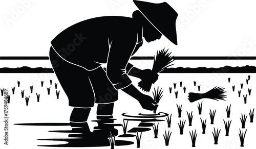 Vector Rice farmer planting paddy field wearing asian conical hat silhouette illustration