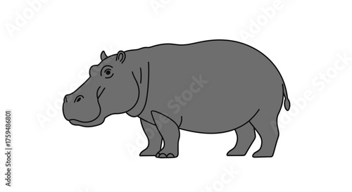 Geometric starburst design featuring layered shapes and a cool color palette of blues and whites