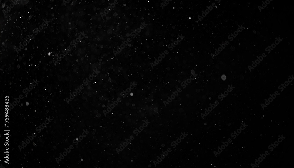 Fototapeta premium Floating Dust Motes on Black Background