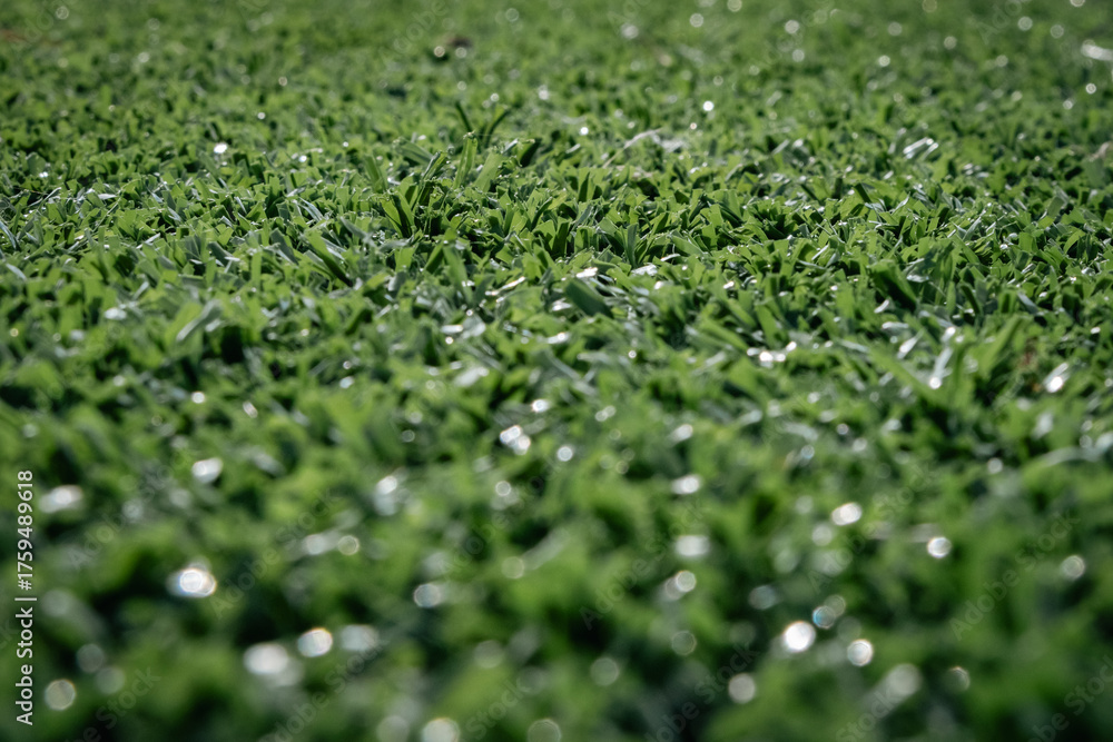 Naklejka premium green turf
