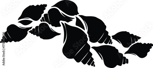 Vector Seashells collection exotic marine life black silhouette illustration