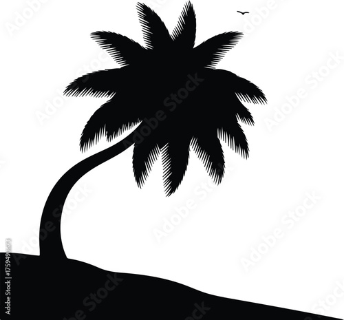 Vector tropical palm tree on beach with flying bird silhouette illustration