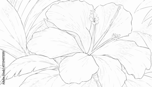 Tropical hibiscus flower coloring page featuring exotic colors and detailed stamens for creative expression