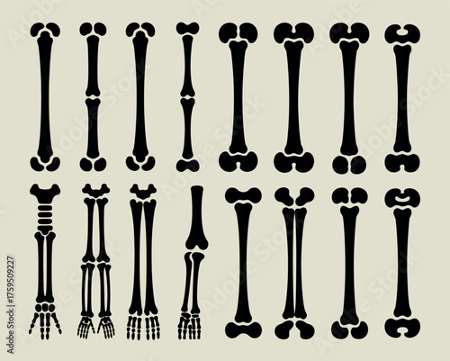 Collection of stylized black and white human bone illustrations on a beige background