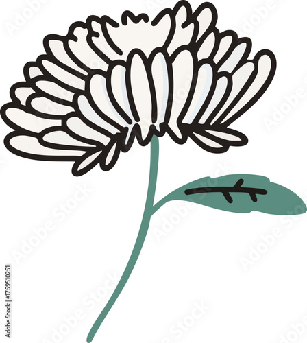 국화 애도 슬픔