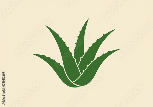 Vibrant green aloe vera plant illustration symbolizing natural healing and organic wellness for modern skincare brands