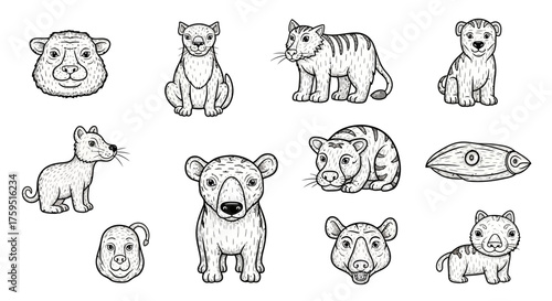 Handdrawn cartoon animal illustrations