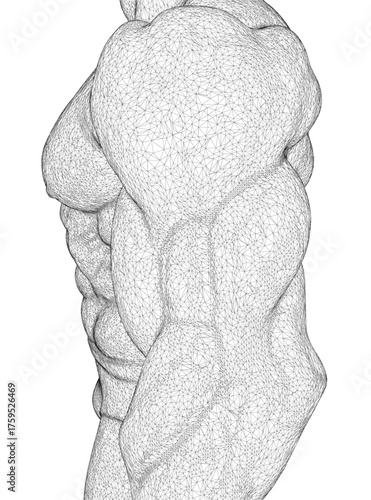 A muscular bodybuilder's torso features an intricate wireframe structure in this detailed black and white drawing. The athletic form is artistically rendered with a unique geometric overlay. Side view