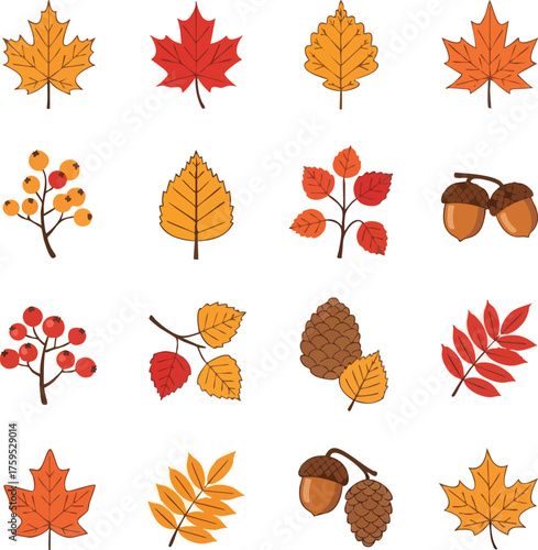 Autumnal Assortment A Collection of Fall Foliage and Seasonal Elements.