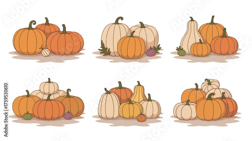 Hand drawn autumn harvest pumpkins and gourds collection