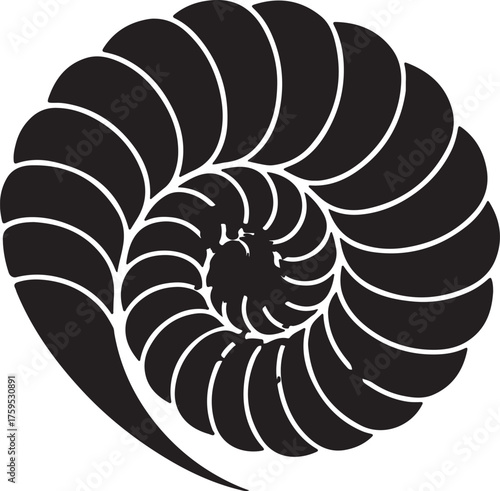 Spiral Shell Icon
