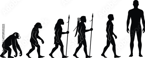 Human evolution silhouette sequence vector illustration showing progression from ape to modern man, evolutionary development and anthropology science concept design