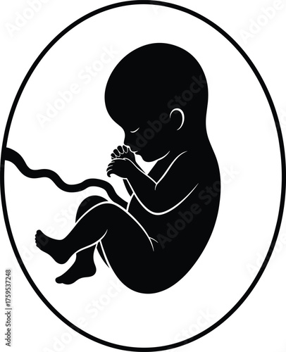 Minimalist fetus in womb silhouette vector illustration showing prenatal anatomy, pregnancy concept, medical education, black embryo graphic design icon