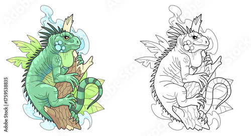 Iguana, educational coloring page for kids