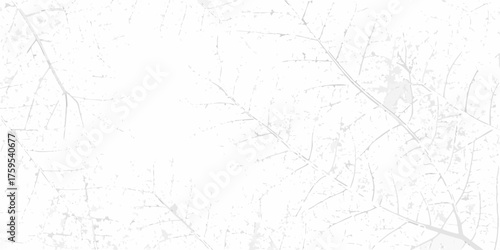 Abstract white background with subtle gray tree branch patterns and textures