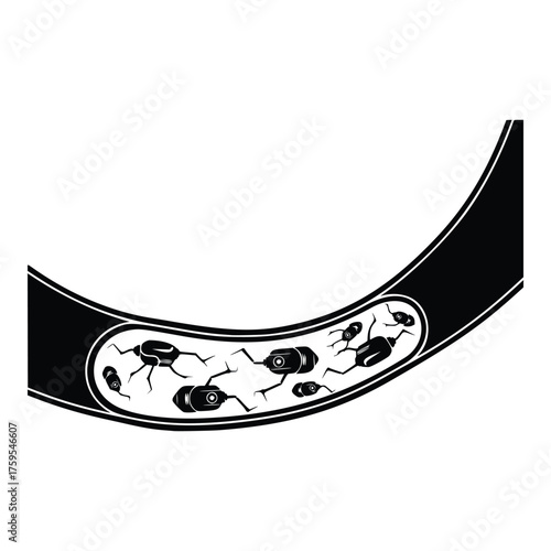 Microscopic view of bacteria inside a blood vessel.