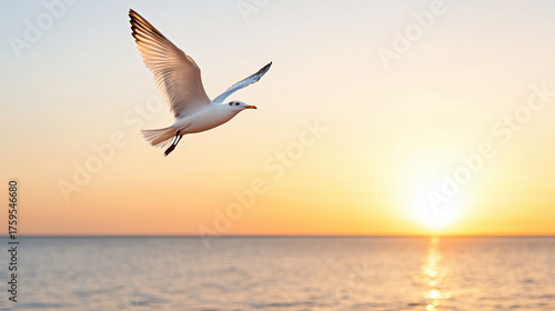 Bird soaring gracefully over tranquil ocean at sunset evokes sense of freedom and peace