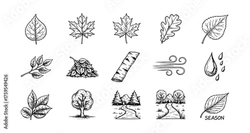 Hand drawn autumn elements: leaves, trees, wind, and raindrops for seasonal design