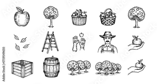 Vintage apple harvest elements with hand-drawn style fruit trees and tools