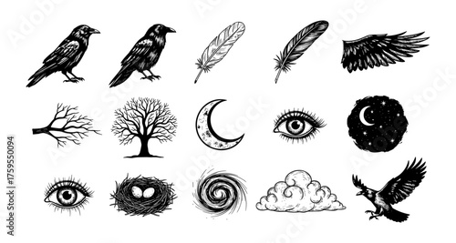 Mystical raven and nature elements in hand-drawn style